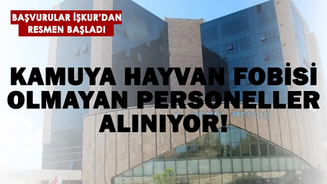 Kamuya hayvan fobisi olmayan personeller alınıyor!