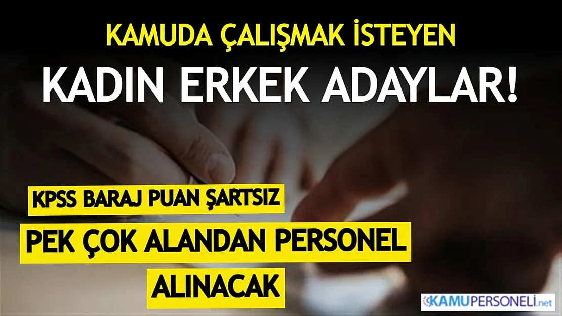 Kamuya KPSS baraj puan şartsız kadın erkek sözleşmeli personeller alınacak! Büro personeli, destek personeli, hemşire ve daha birçok gruptan alım var