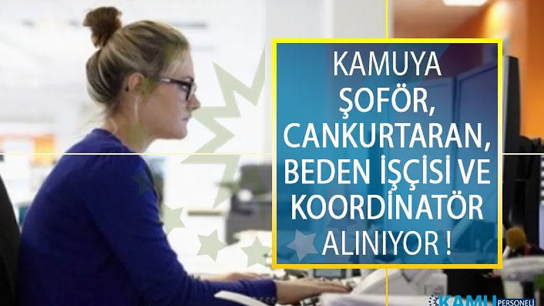 Kamuya Şoför, Cankurtaran, Beden İşçisi ve Koordinatör Alımı Yapılacak! Kamu İş İlanları Başvuru Şartları