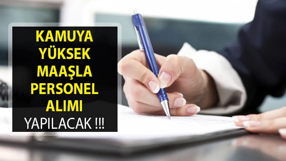Kamuya Yüksek Maaşla Personel Alımı Yapılacak- Kamu Personeli Alımı 2019- Personel Alım İlanları