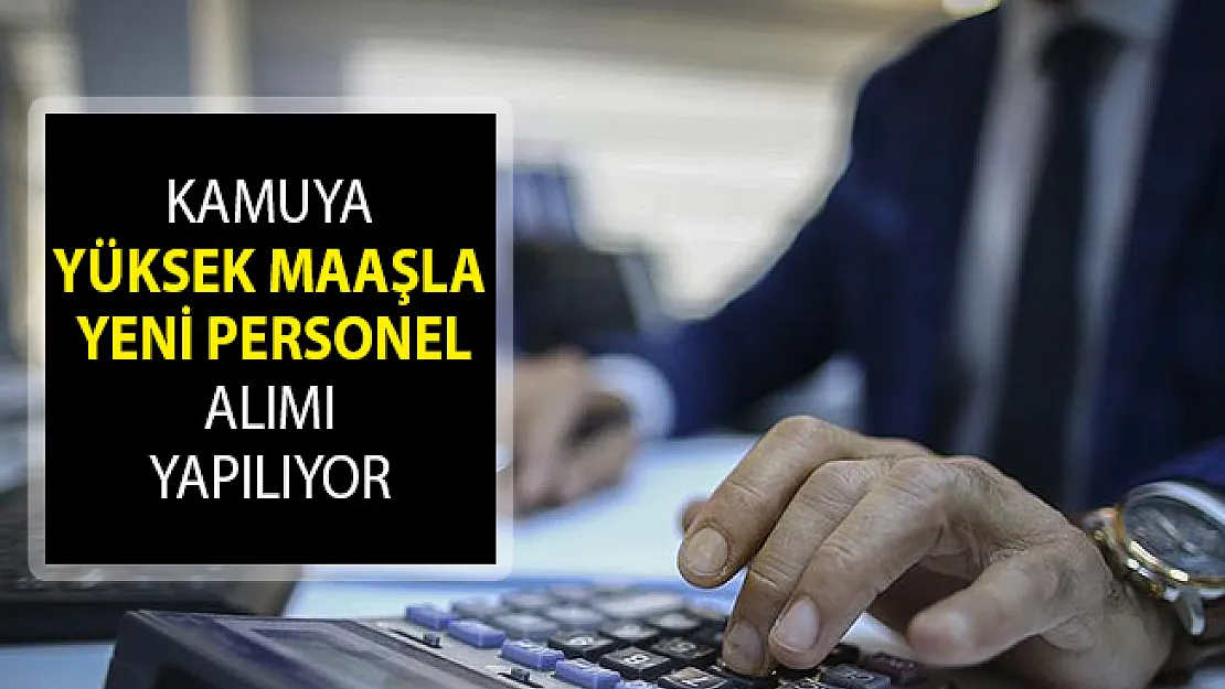 Kamuya Yüksek Maaşla Yeni Personel Alımı Yapılıyor! DPB Kamu Personeli Alımı Ekranı 2019!