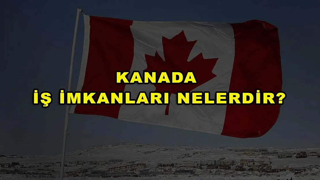 Kanada İş İmkanları Nelerdir?