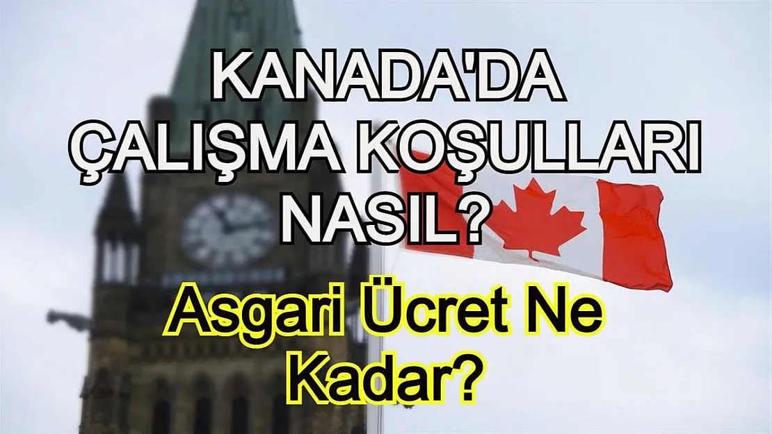 Kanada'ya işçi alımları yapılıyor! Kanada'da hangi meslek gruplarında eleman açığı var? Asgari ücret ne kadar?