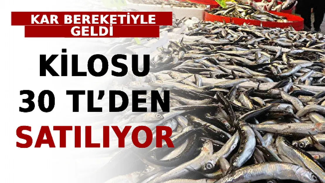 Kar Bereketiyle Geldi! Kilosu 30 TL'den Satılıyor