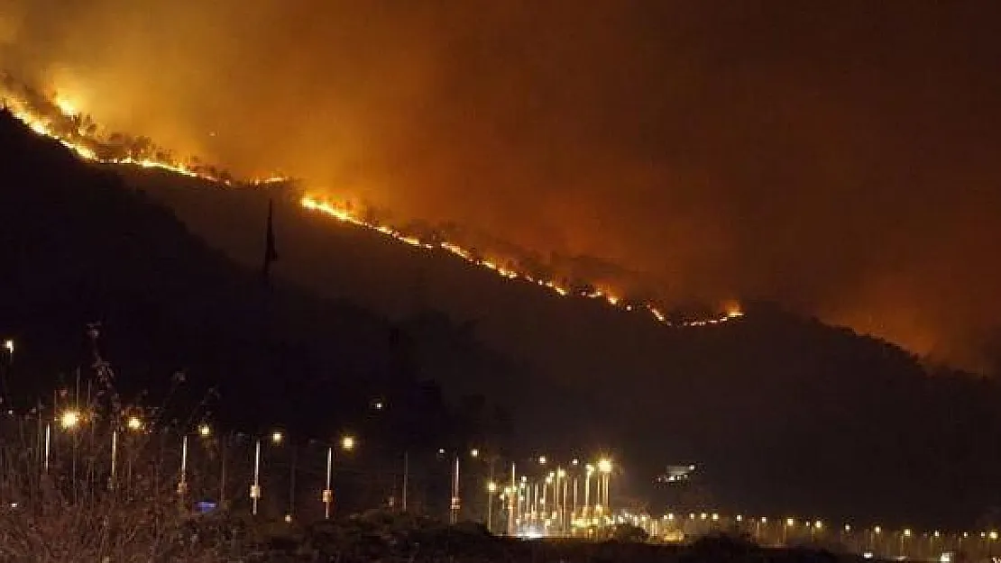 Karadeniz Alev Alev Yanıyor ! 4 İlde 26 Noktada Yangın