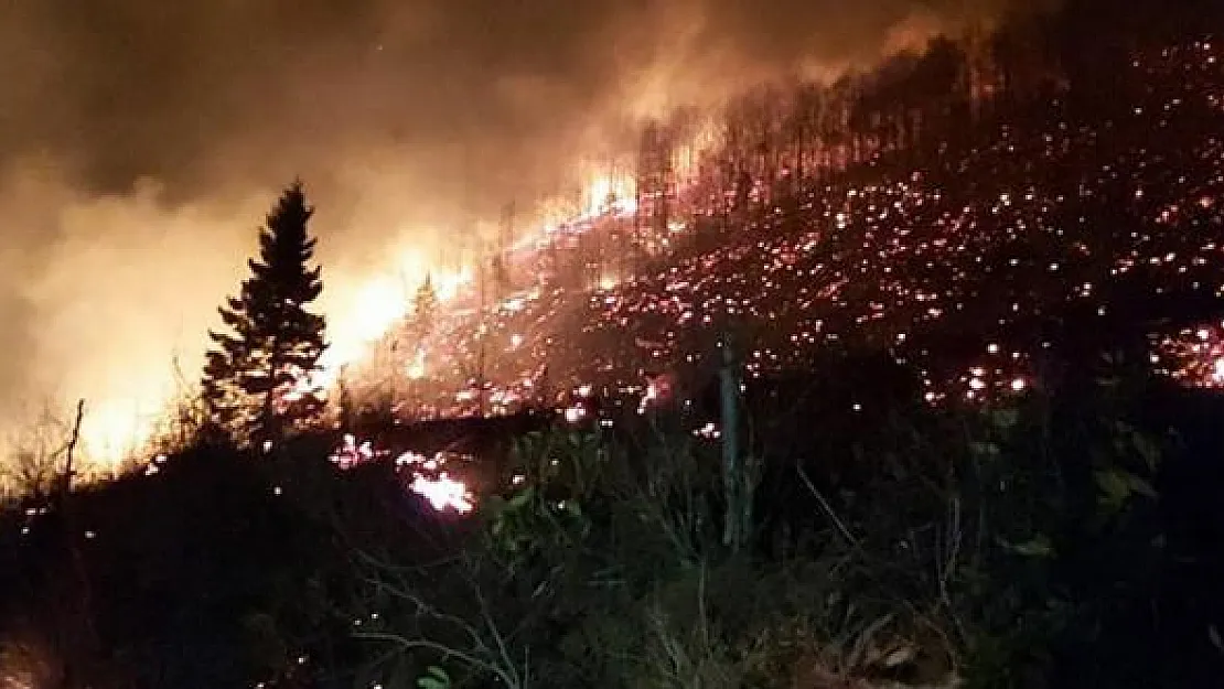 Karadeniz yanıyor: 58 bölgede yangın alarmı!