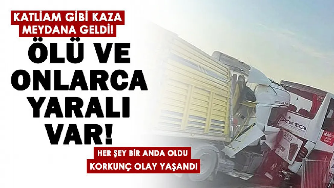 Katliam gibi olay yaşandı: Ölü ve onlarca yaralı var!