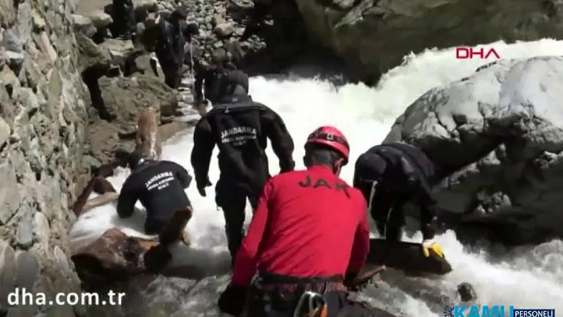 Kayıp AA muhabirini arama sırasında 2 asker suya kapıldı