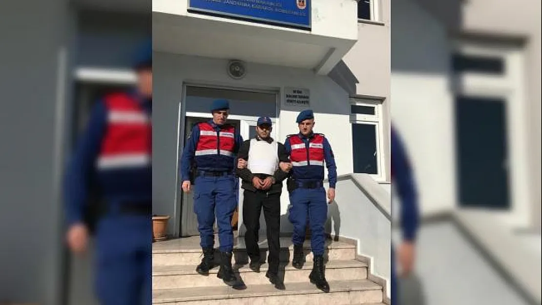 Kayıp kişinin cesedinin ormanlık alanda bulunması