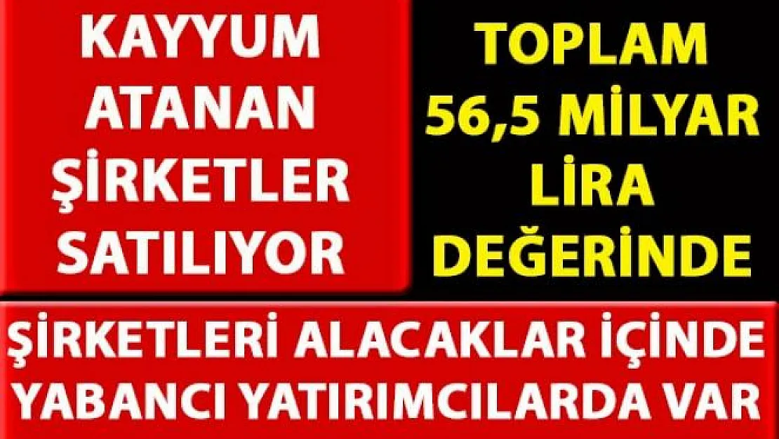 Kayyum atanarak varlığı TMSF'ye geçen şirketler satılıyor