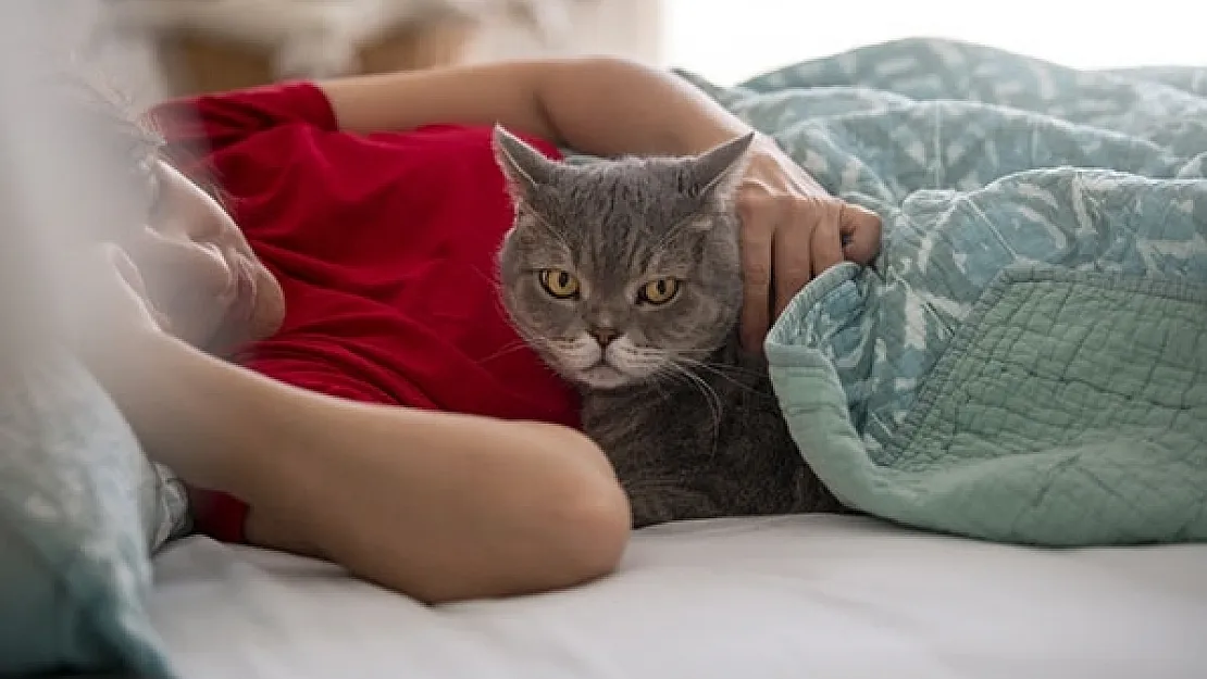 Kedi ve köpeklerin kimlik sahibi olması için protokol imzaladı.