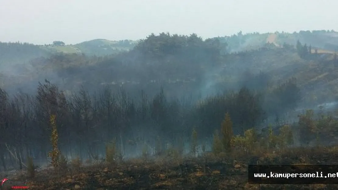 Keşan'da 3 Gündür Devam Eden Yangın
