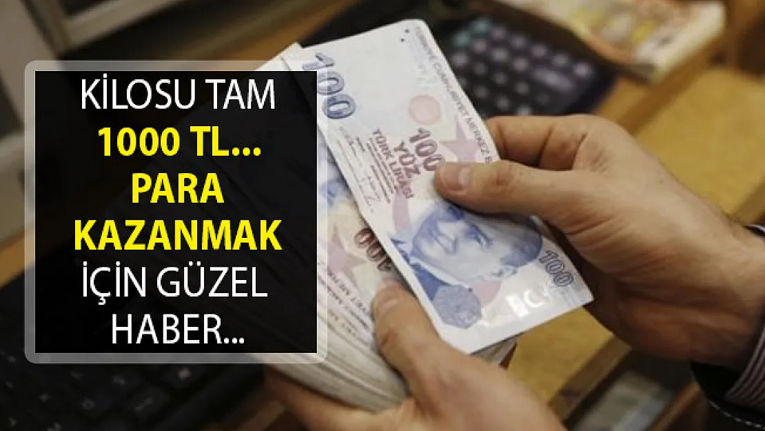 Kilosu Tam 1000 TL- Fabrikasını Kurmak ve Para Kazanmak İsteyenler Yoğun Talep Gösteriyor