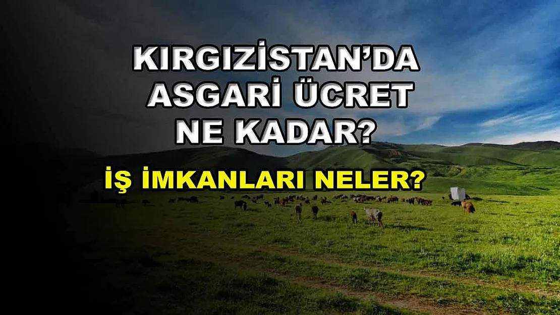 Kırgızistan'da Asgari Ücret Ne Kadar? İş İmkanları Neler?