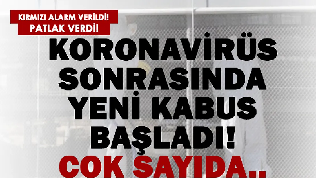 Kırmızı alarm verildi! Avrupa'da koronavirüs sonrası yeni virüs kabusu başladı!