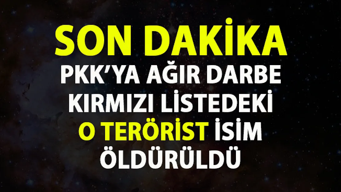 Kırmızı liste ile aranan PKK'nın elebaşlarından Mehmet Soysüren etkisiz hale getirildi