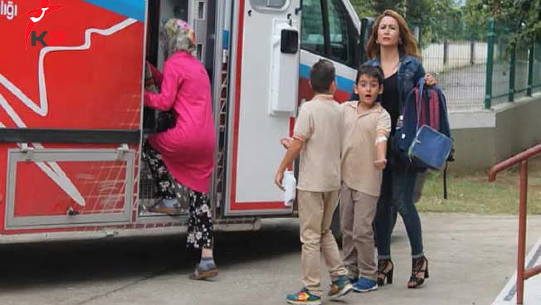 Kocaeli'de Okulda Arı Saldırısı ! Öğretmen ve Öğrenciler Hastanelik Oldu