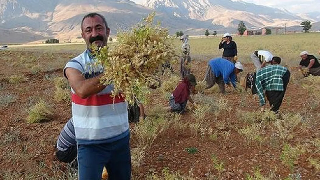 Komünist Başkan Hedef Büyüttü! Ovacık'tan Sonra Tunceli'ye Aday Oldu!