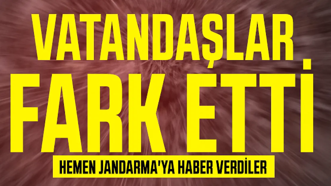 Konya'da korkunç olay: Patlamamış 3 adet el bombası bulundu