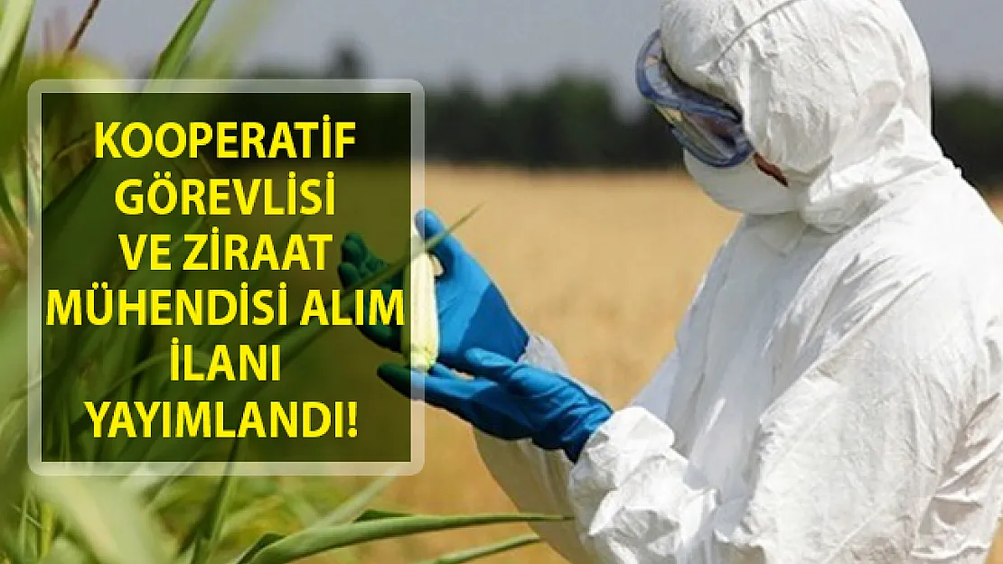 Kooperatif Görevlisi Ve Ziraat Mühendisi Alım İlanı Yayımlandı! Tarım Kredi Kooperatifleri Personel Alımı Yapıyor