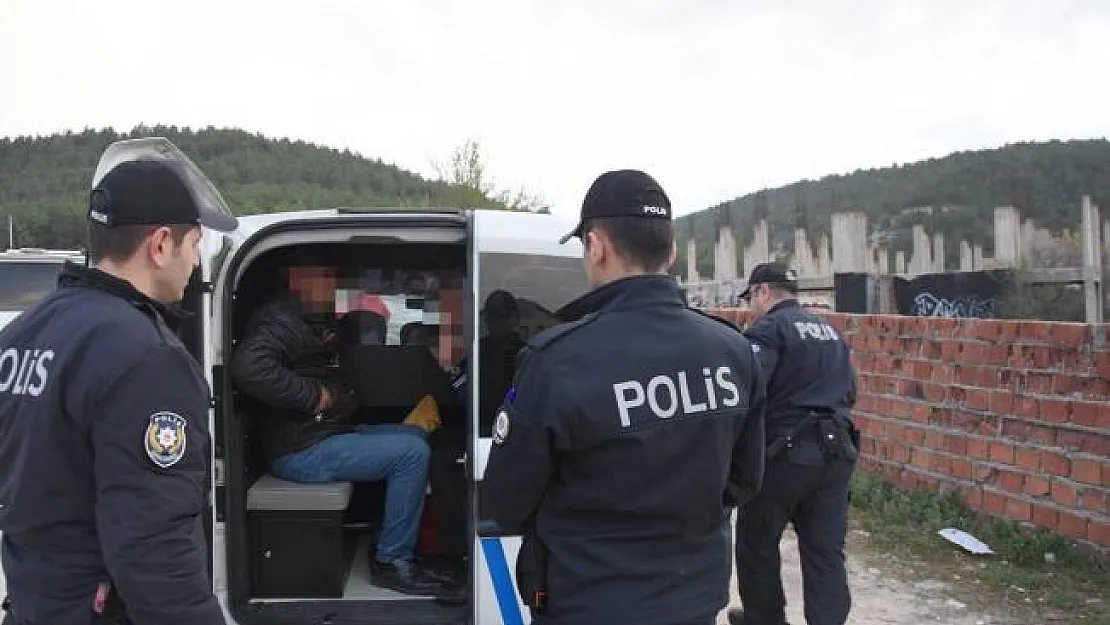 Köpeğe Tecavüz İddiası! 2 Kiş Gözaltına Alındı