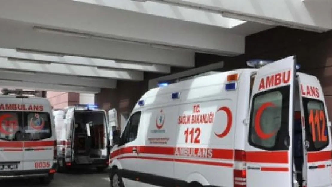 Köpek Saldırısı Bir Kez Daha Can Aldı !