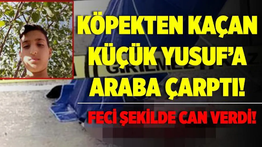 Köpekten kaçarken otomobilin çarptığı küçük Yusuf olay yerinde feci şekilde can verdi!
