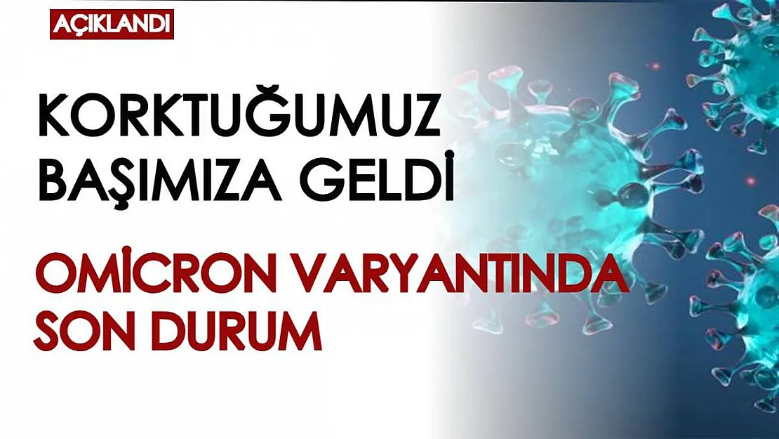 Korktuğumuz başımıza geldi! Omicron varyantı giderek yayılıyor, bir ülkeye daha sıçradı...