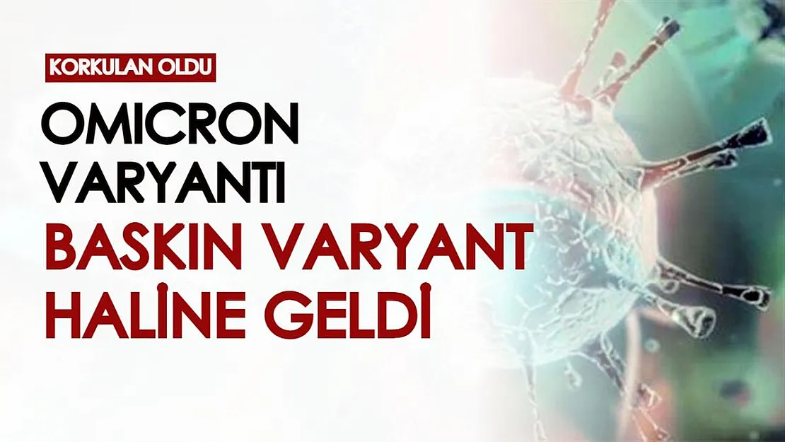 Korkulan oldu! Hızla yayılan Omicron varyantı sonunda baskın varyant haline geldi!