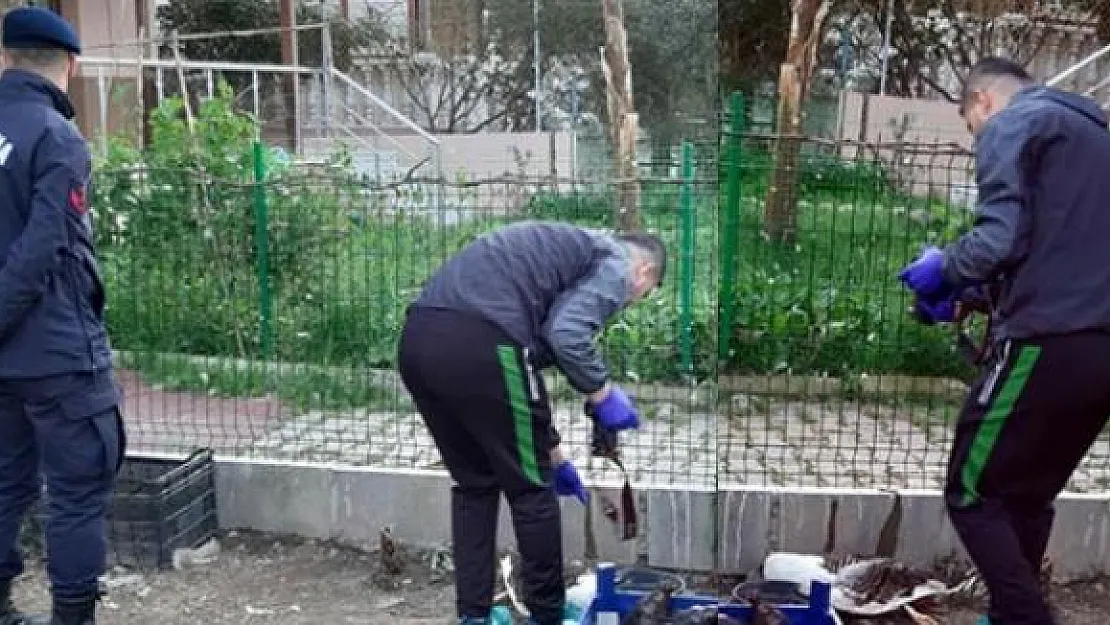 Korkunç Olay: Gözlerini Oyarak ve Asitle Öldürdüler