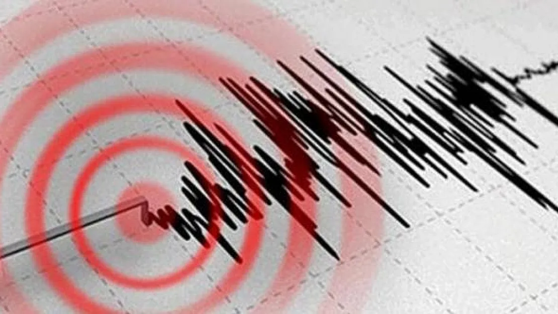 Korkutan Deprem: Van'da 4.0 Büyüklüğünde Deprem