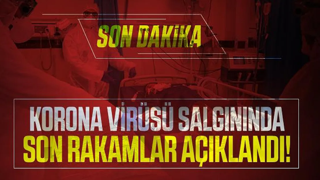 Korona virüsü salgınında son rakamlar açıklandı! Ölü sayısı 18 bin 900'ü geçti