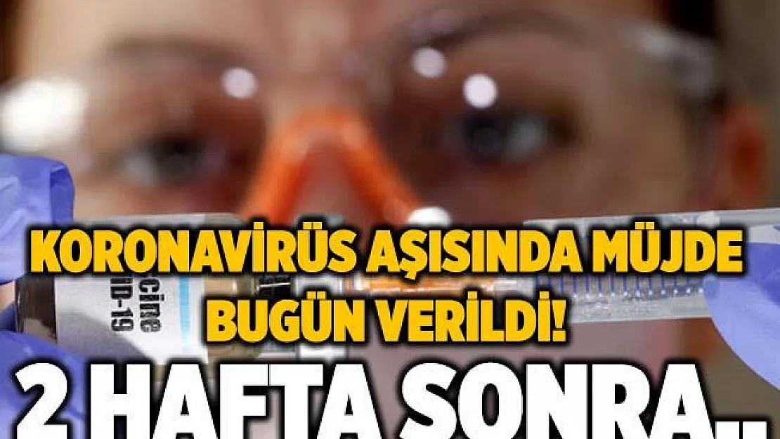 Koronavirüs aşısında müjde duyuruldu! 2 hafta sonra..
