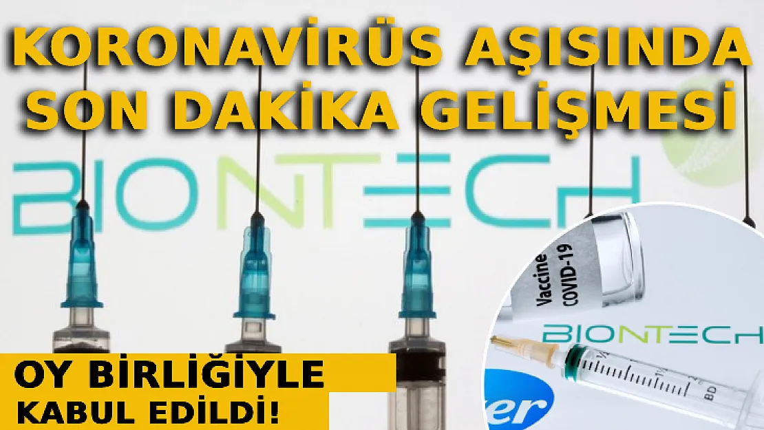 Koronavirüs Aşısında Son Dakika Gelişmesi: Oy Birliğiyle Kabul Edildi!
