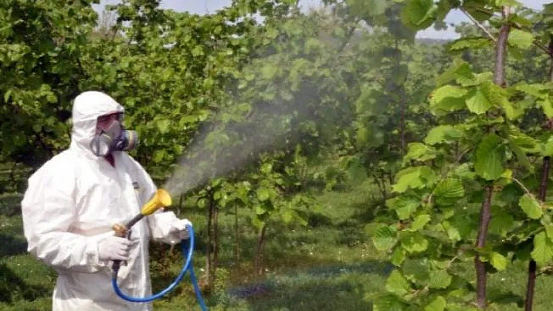 Koronavirüs bitmeden başka bir tehlike daha: 8 ilimizde görüldü!