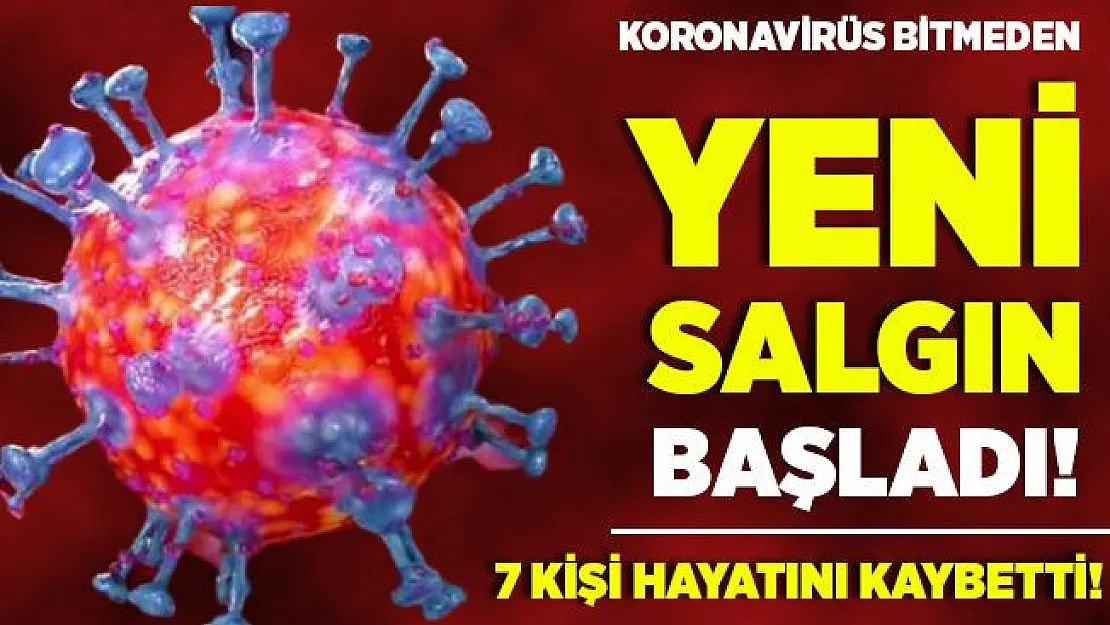Koronavirüs bitmeden Çin'de yeni virüs ortaya çıktı! 7 kişi hayatını kaybetti! Bunyavirüs nedir? Belirtileri nelerdir?