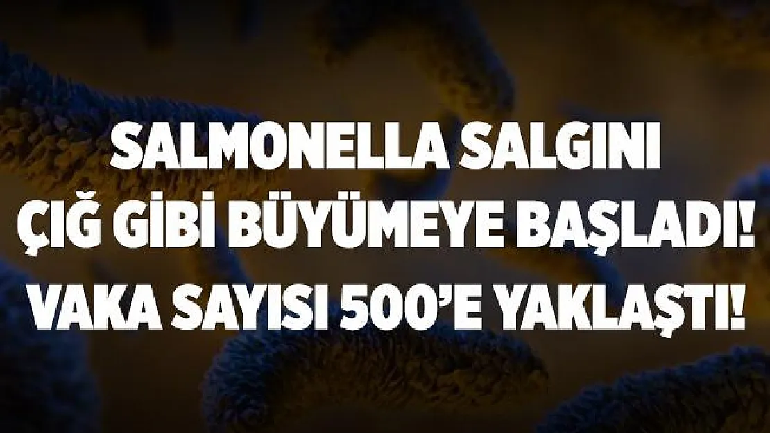 Koronavirüs bitmeden Salmonella salgını çığ gibi büyümeye başladı! Vaka sayısı 500'e dayandı!