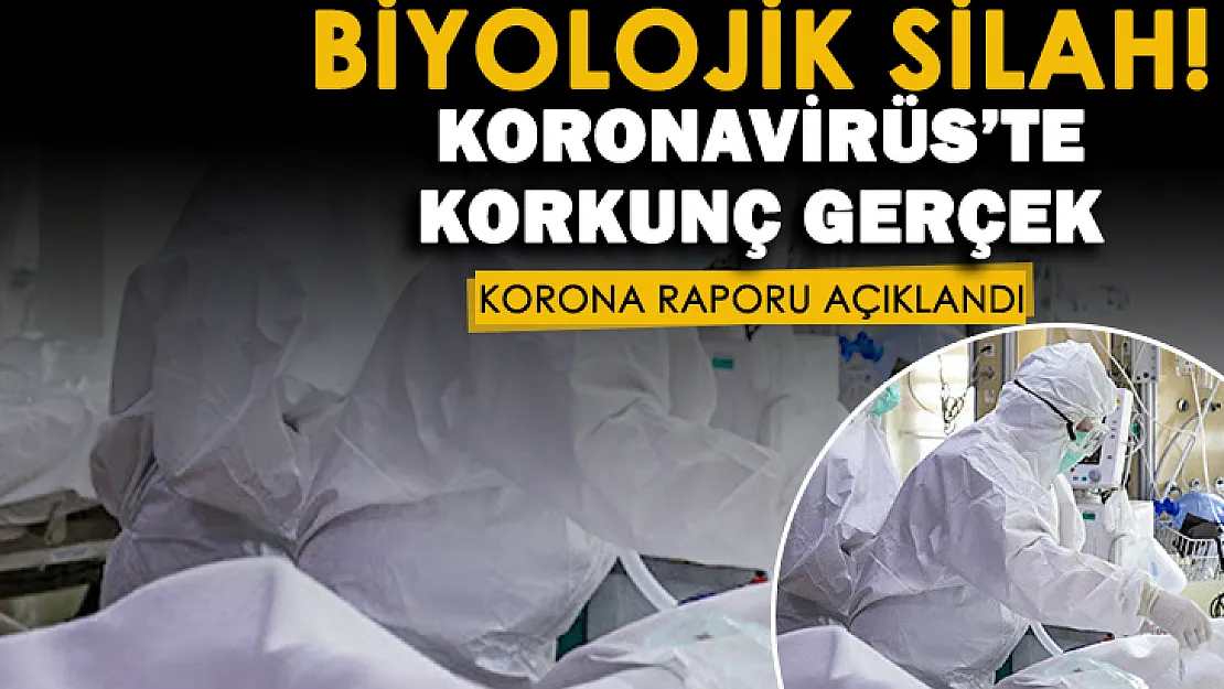 Koronavirüs biyolojik silah mı? ABD raporu her şeyi ortaya çıkardı