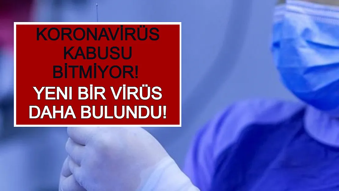 Koronavirüs Kabusu Bitmiyor! Yeni Bir Virüs Daha Bulundu!