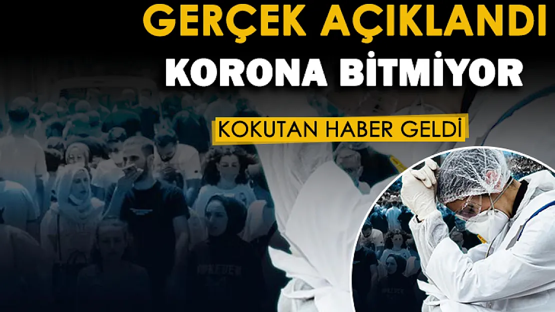 Koronavirüs salgını bitmeyecek! Korona salgınında asıl gerçek açıklandı