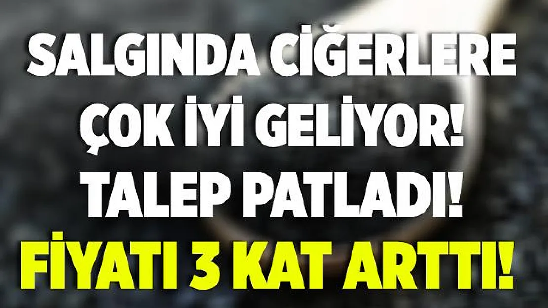 Koronavirüs salgınında ciğerlere iyi gelen çörek otunun fiyatı tam 3 kat arttı!