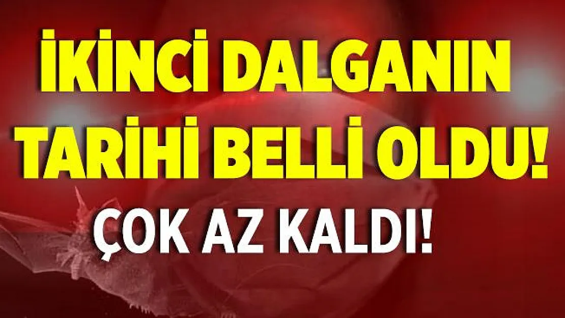Koronavirüs salgınında ikinci dalga tarihi belli oldu! Tedbirinizi şimdiden alın!