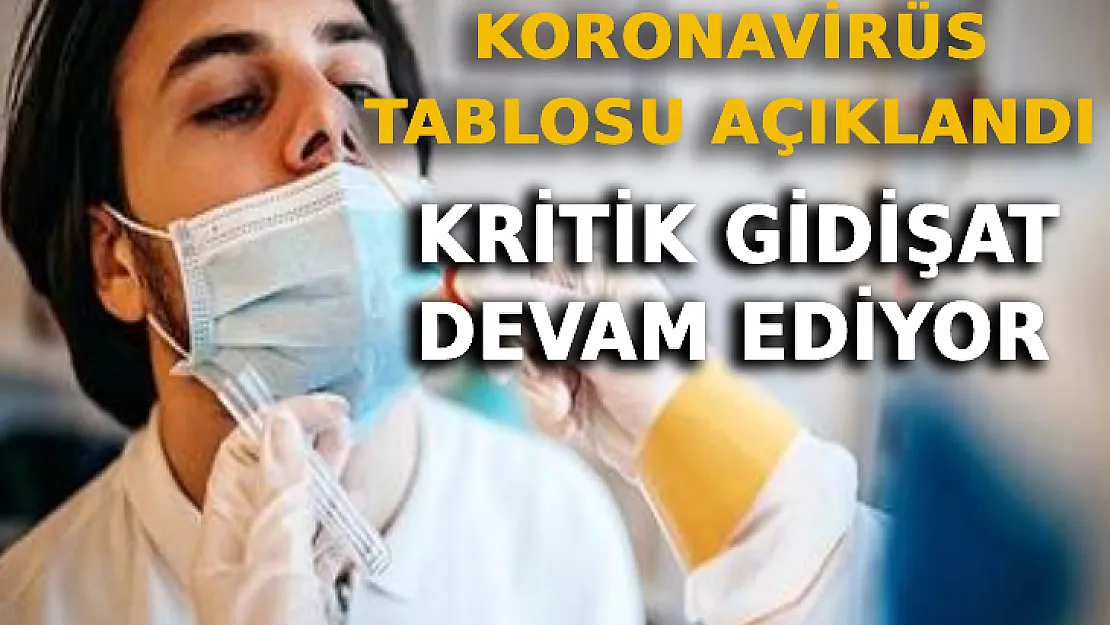 Koronavirüs Tablosu Açıklandı: Kritik Gidişat Devam Ediyor