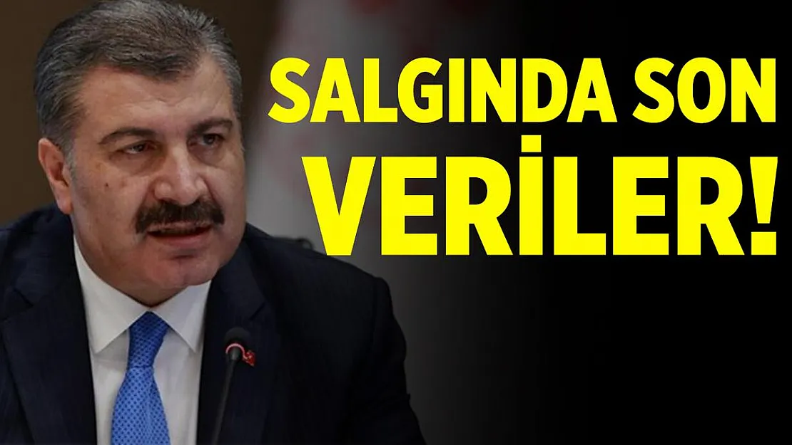 Koronavirüs tablosunda son durum! Kaç kişi hayatını kaybetti, kaç yeni vaka tespit edildi?
