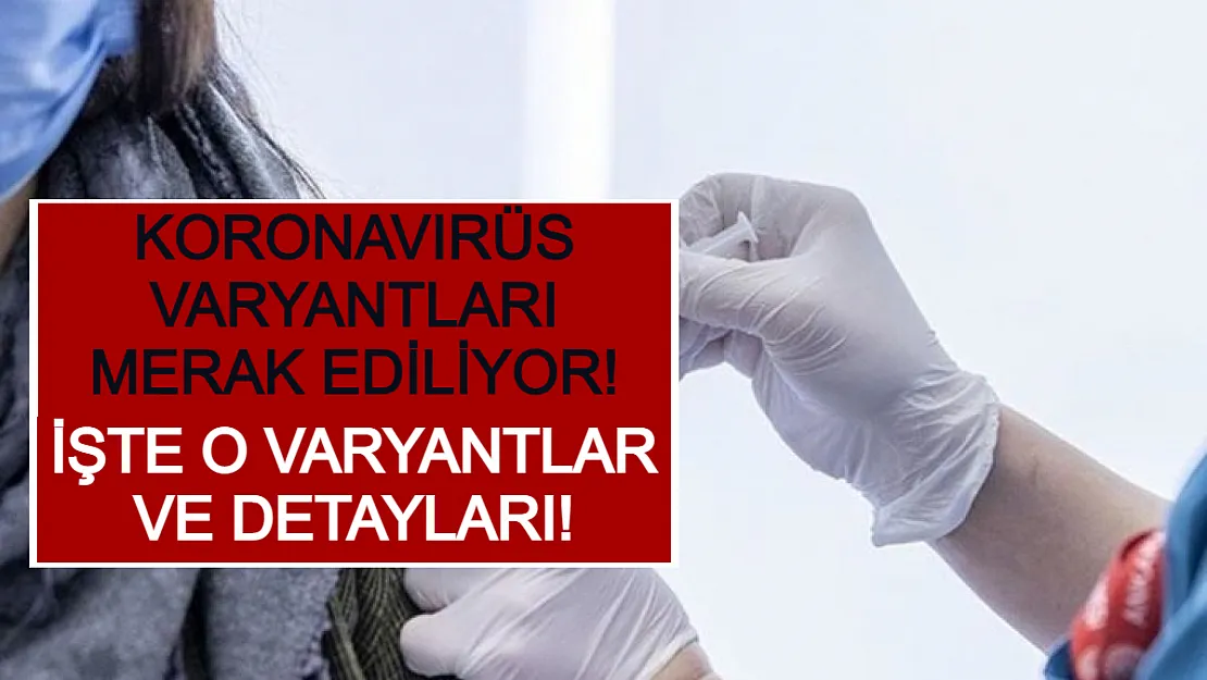 Koronavirüs Varyantları Merak Ediliyor! İşte O Varyantlar ve Detayları!
