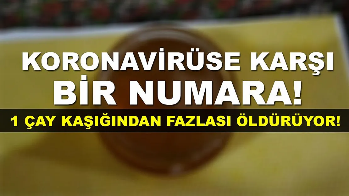 Koronavirüse karşı etkili ancak bir çay kaşığından fazlası öldürüyor!