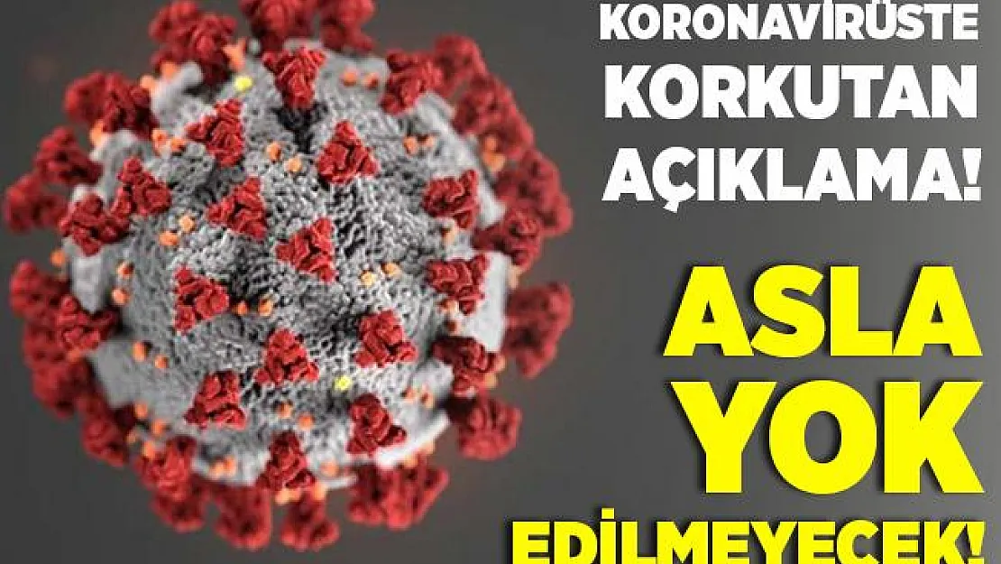Koronavirüsle ilgili korkutan gelişme! Virüs asla yok edilmeyecek!
