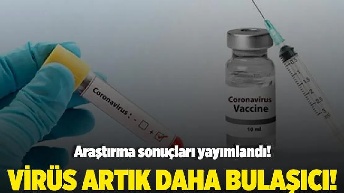 Koronavirüsle ilgili yeni araştırma sonuçları yayımlandı! Virüs artık daha bulaşıcı!