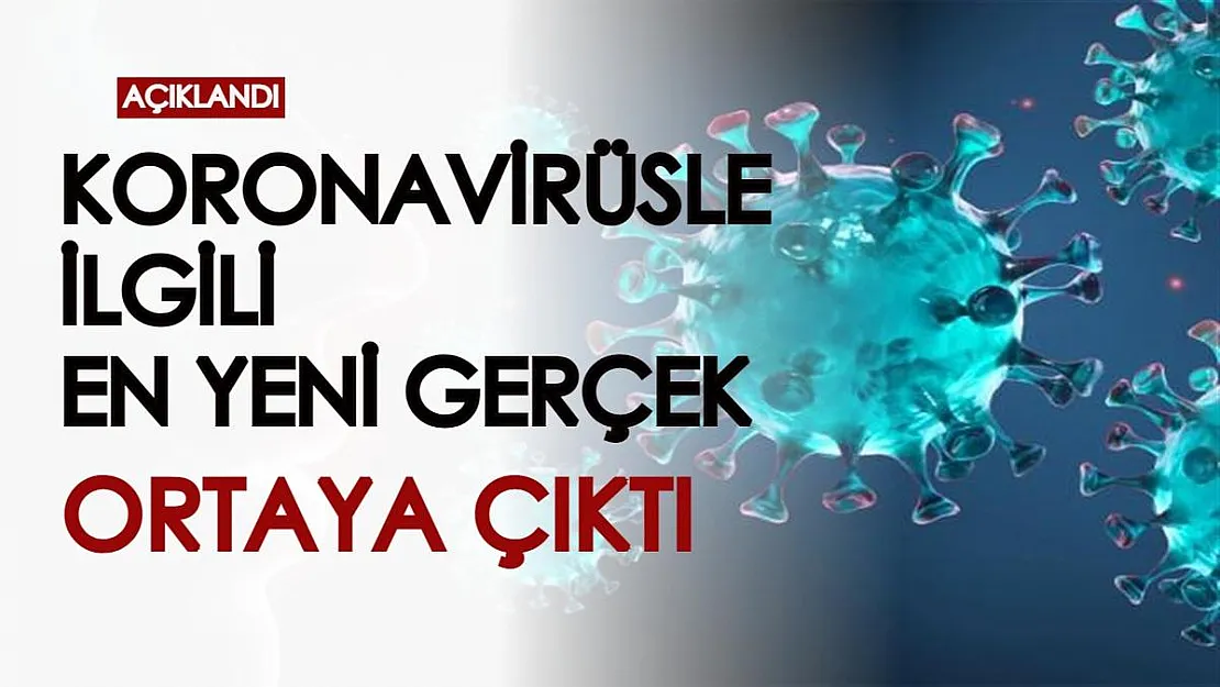 Koronavirüste yeni gerçek ortaya çıktı: Erkeklerle kadınlar arasındaki fark...