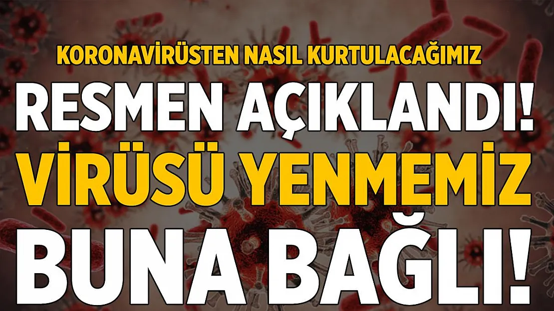 Koronavirüsten nasıl kurtulacağımız belli oldu! Virüsü yenmemiz sadece buna bağlı!